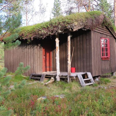Hov Hyttegrend Viksdalen Номер фото