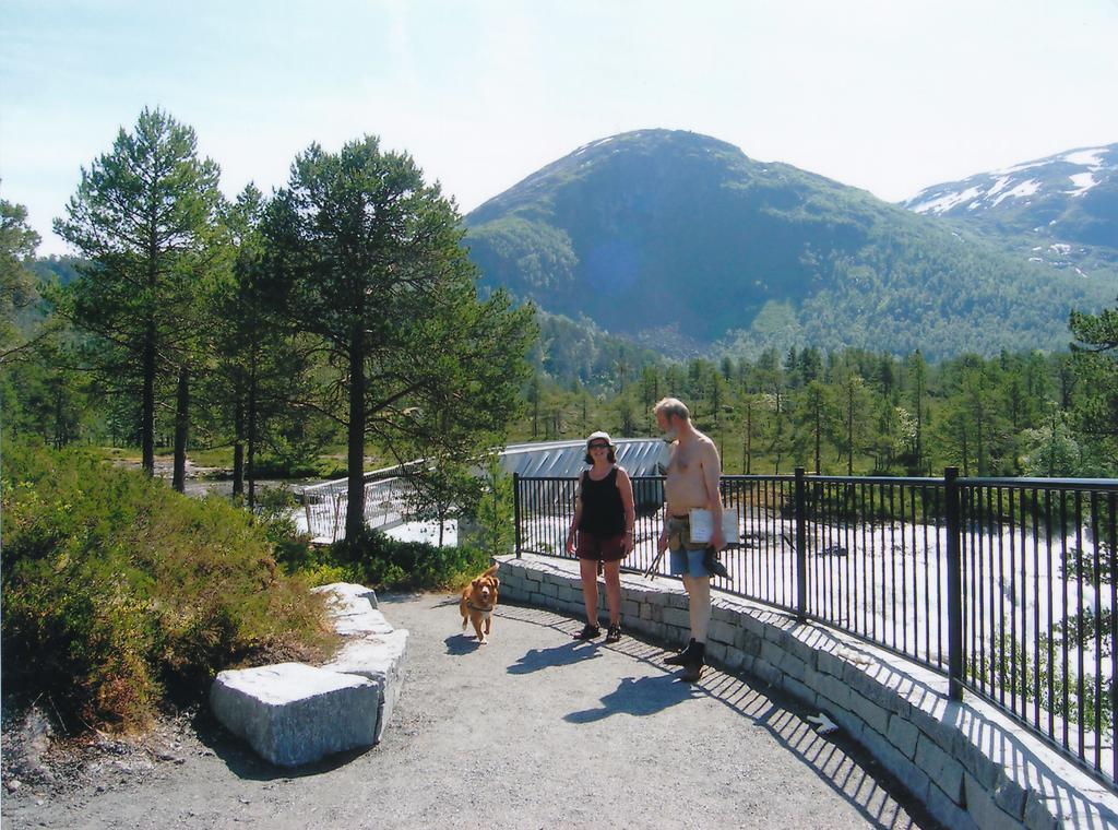 Hov Hyttegrend Viksdalen Экстерьер фото