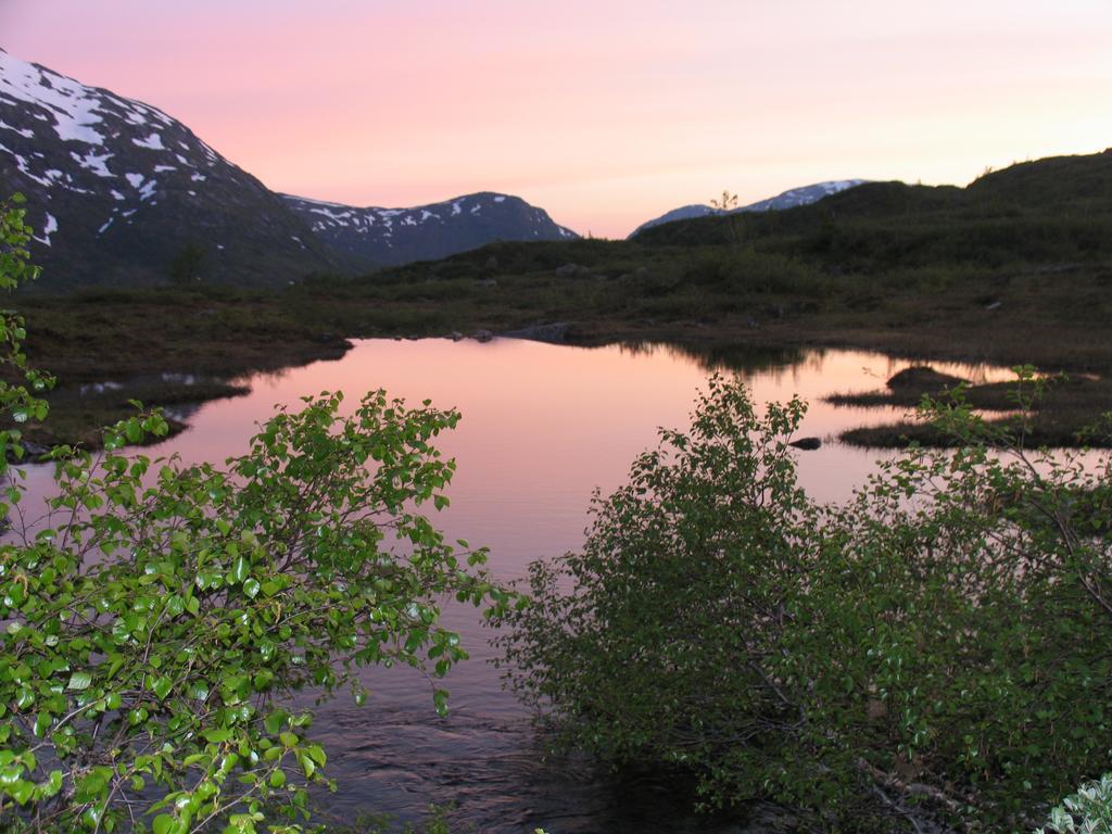 Hov Hyttegrend Viksdalen Экстерьер фото
